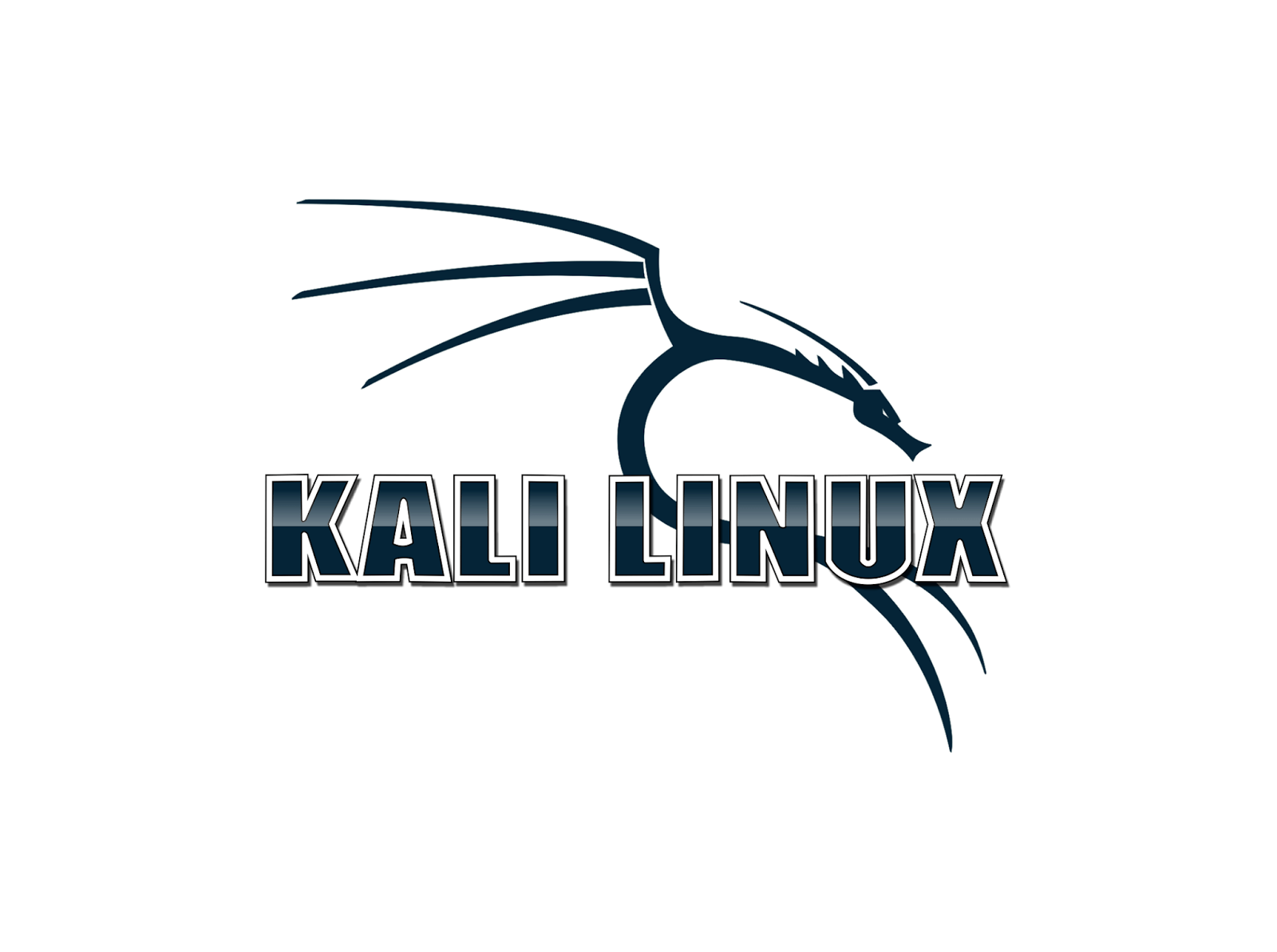 Kali Linux Live